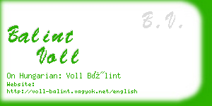 balint voll business card